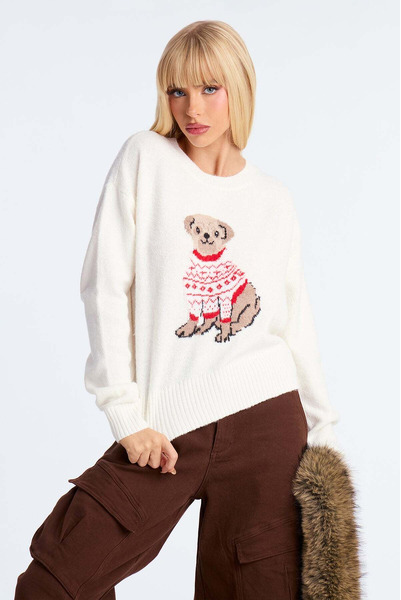 Puppy thin sweater - 2