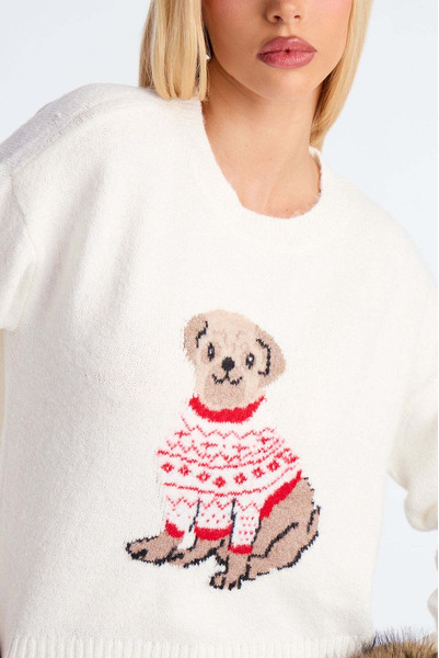 Puppy thin sweater - 3