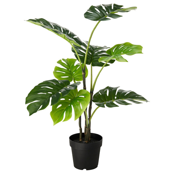 Artificial plant Monstera as a new
