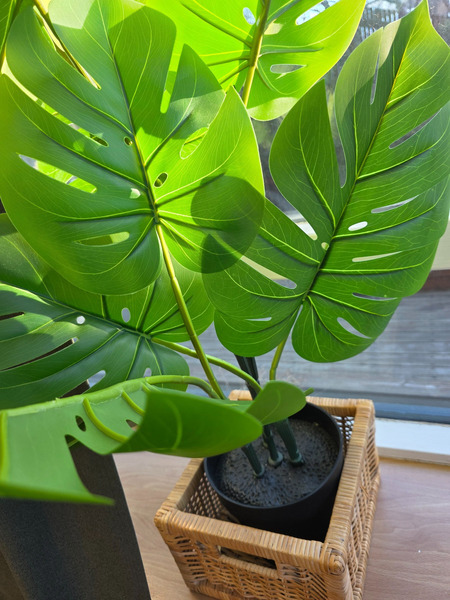 Artificial plant Monstera as a new - 2