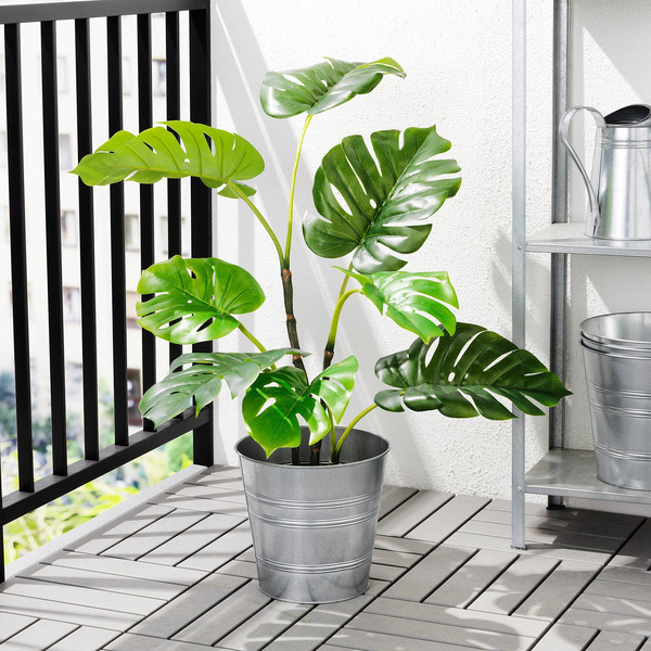 Artificial plant Monstera as a new - 3