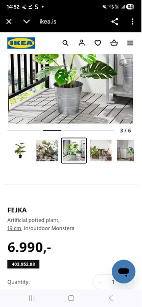 Artificial plant Monstera as a new - 4