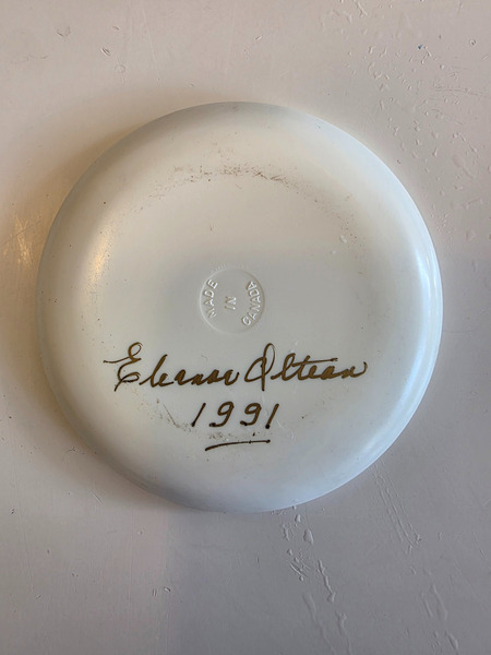 Plastdiskur frá árinu 1991 með kanadísku útsýni - 2