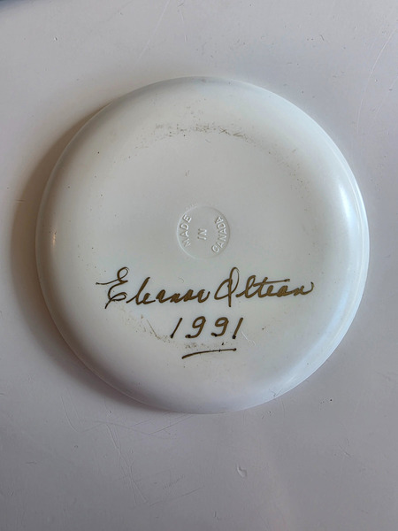 Plastdiskur frá árinu 1991 með kanadísku útsýni - 3