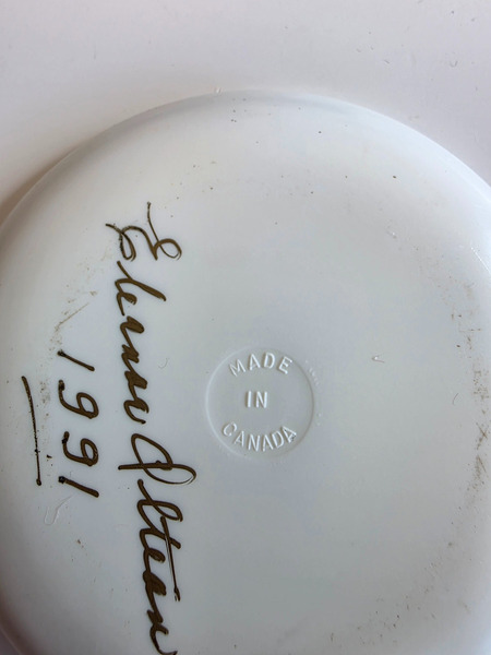 Plastdiskur frá árinu 1991 með kanadísku útsýni - 4