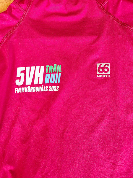 66°North 5VH Trail Run Fimmvörðuháls 2022 Pink Sports Hoodie - 3