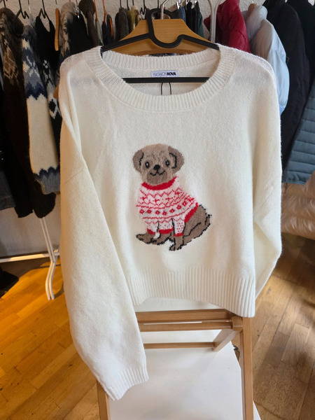 Cute sweater with a puppy