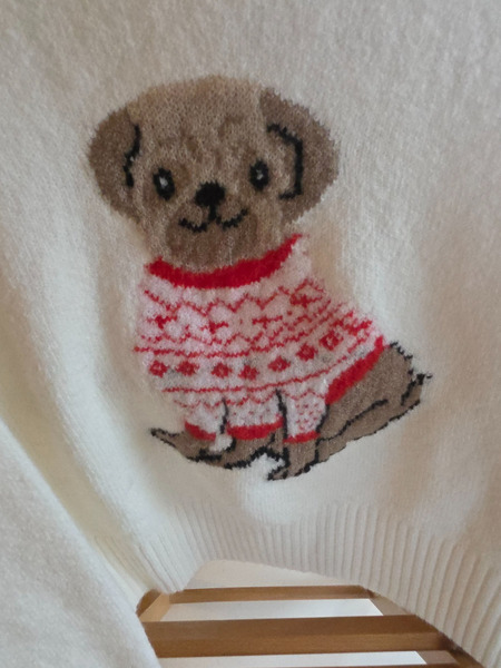 Cute sweater with a puppy - 2